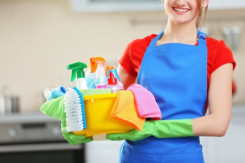 Deep cleaning service in Bow for a fresh and detailed property reset