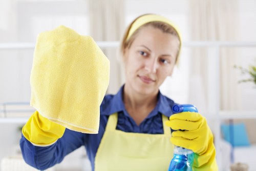 Bow Carpet Cleaners modern slavery statement introduction