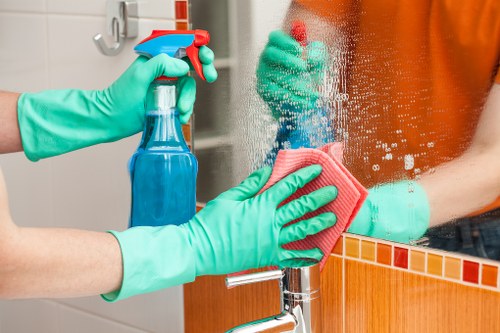 Professional house cleaning service in Bow for modern flats and family homes