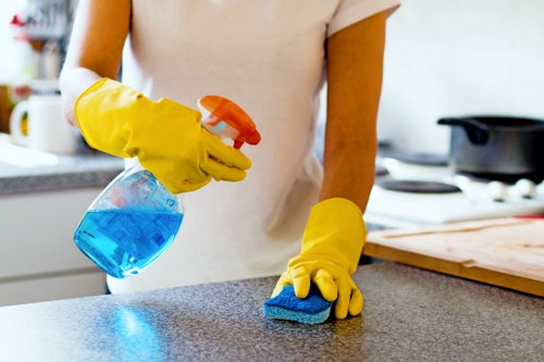 Kitchen and bathroom domestic cleaning service in Bow home