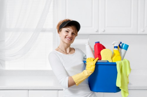Cleaner preparing a regular domestic clean in Bow