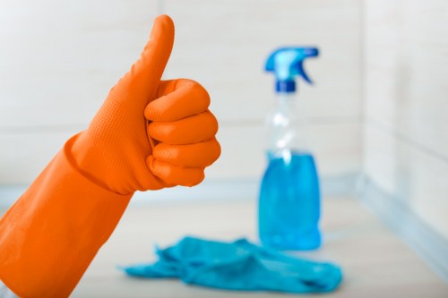 Cleaner removing grease and burnt residue from an oven