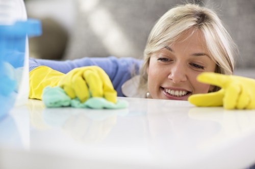 Supplier audit and due diligence process for Bow Carpet Cleaners