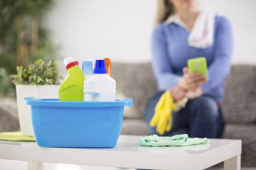 Local cleaner servicing flats and shopfronts in Bow