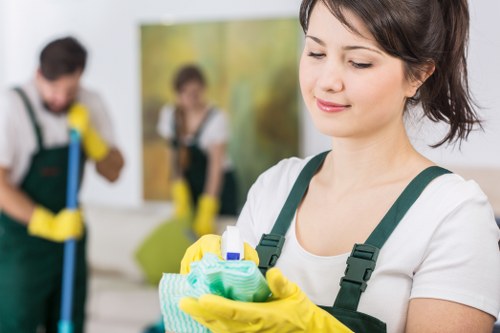 Bow Carpet Cleaners restoring softness and cleanliness to carpet