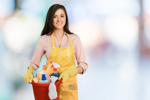 Kitchen and bathroom deep cleaning tasks in a Bow home