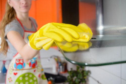Professional deep cleaning of an oven door and racks