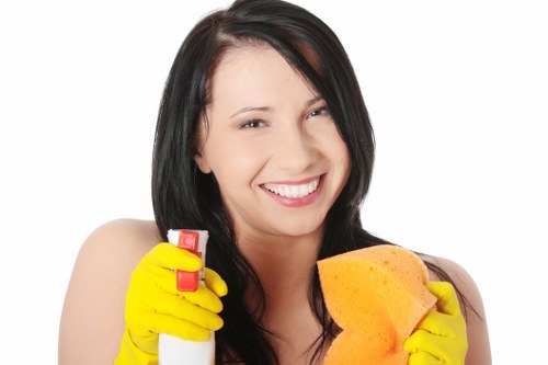 Bow Carpet Cleaners secure checkout protected by encryption