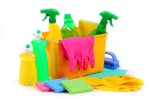 Cleaning products and tools used during carpet care service